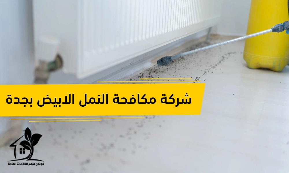 شركة مكافحة النمل الابيض بجدة